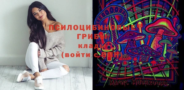дмт Алексин