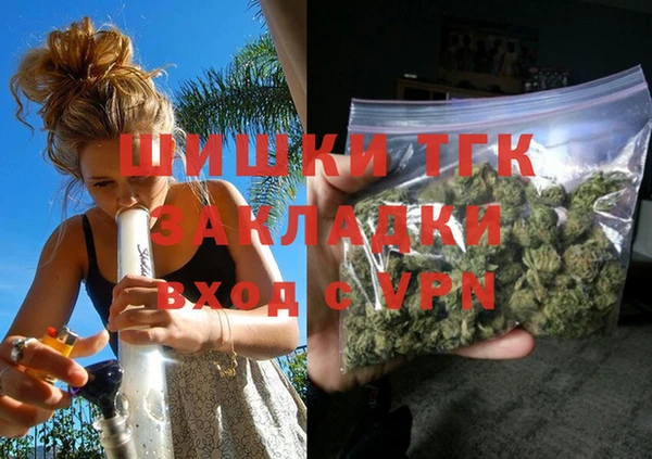 дмт Алексин
